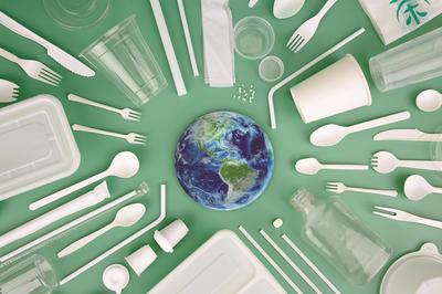 手握"王牌" 昔日化學老師締造一次性餐具王國