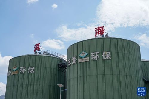 有機廢物變環保產品 保護洱海有妙招